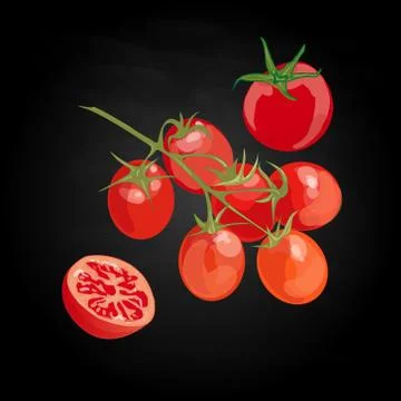 Tomato vector illustration Stock Illustration