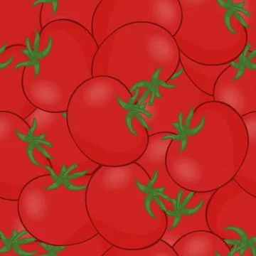 Tomato vector illustration. Stock Illustration