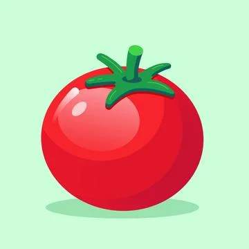 Tomato vector illustration Stock Illustration