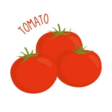 Tomato vector illustration isolated Stock Illustration