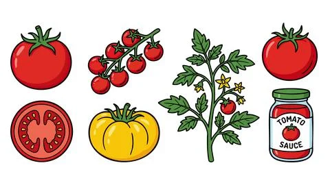 Tomato Vector Illustration Set With Sauce Stock Illustration