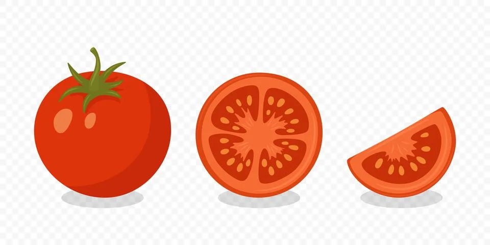 Tomato Vector Set. Fresh Whole, Half and Slice Tomato Vector Illustration. Juicy Stock Illustration