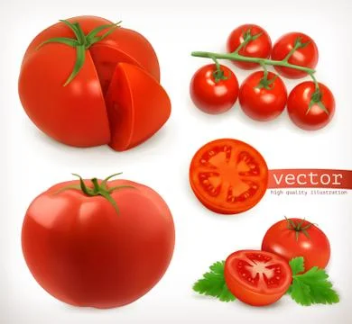 Tomato. Vegetable 3d vector icon set Stock Illustration