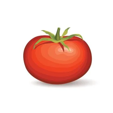 Tomato. Vegetable logo. Vector illustration of naural product tomato. Stock Illustration