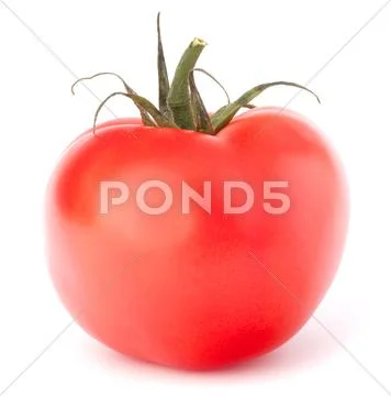 Tomato vegetable Stock Photos
