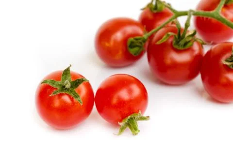 Tomato vegetable. Stock Photos