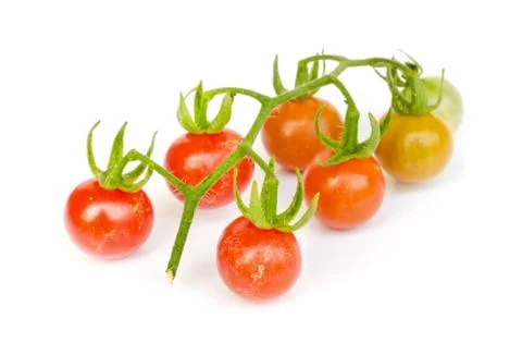 Tomato vegetable . Stock Photos