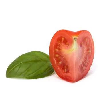 Tomato vegetable segment and basil leaf Stock Photos