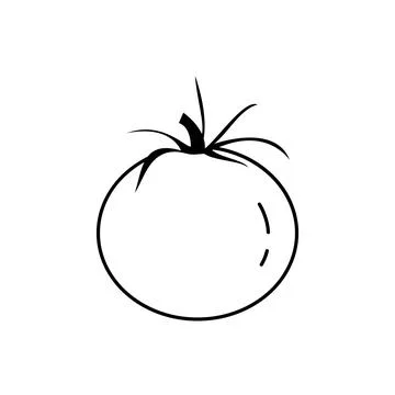 Tomato vegetable vector icon outline black EPS 10. Tomatoes flat illustration Stock Illustration
