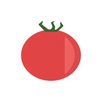 Tomato vegetable vector illustration colored Stock Illustration