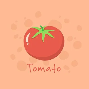 Tomato Vegetable vector illustration Stock-Illustration