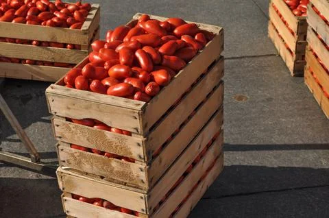 Tomato vegetables in a crate Stock Photos