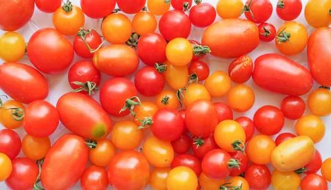 Tomato vegetables Stock Photos