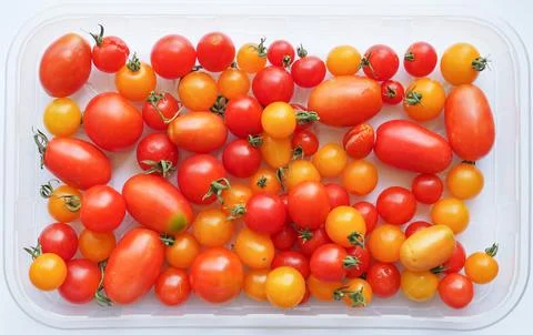 Tomato vegetables Stock Photos