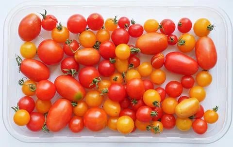 Tomato vegetables Stock Photos