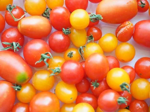 Tomato vegetables Stock Photos