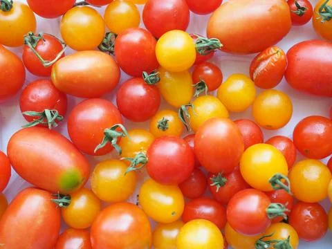 Tomato vegetables Stock-Fotos