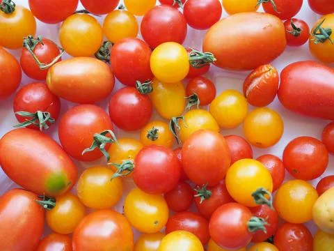 Tomato vegetables Stock Photos