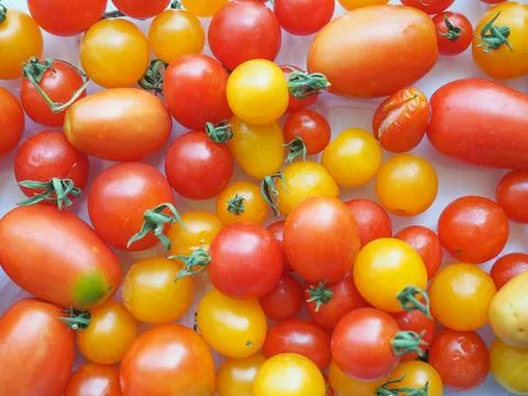 Tomato vegetables Stock Photos