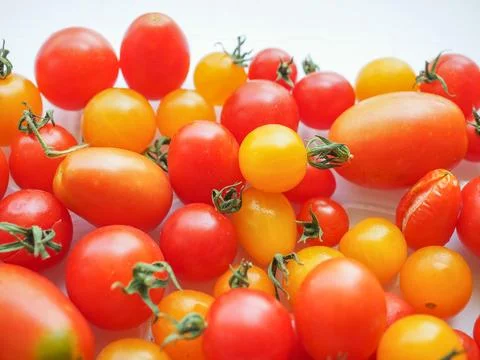 Tomato vegetables 스톡 사진