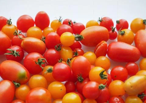 Tomato vegetables Stock Photos