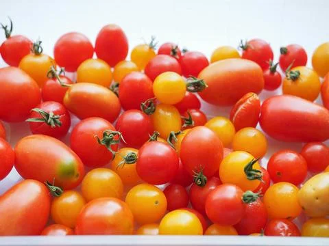 Tomato vegetables Stock Photos