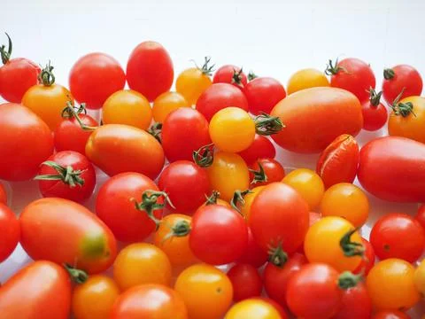 Tomato vegetables Stock Photos
