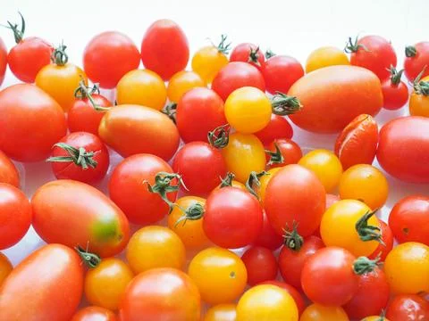 Tomato vegetables Foto stock