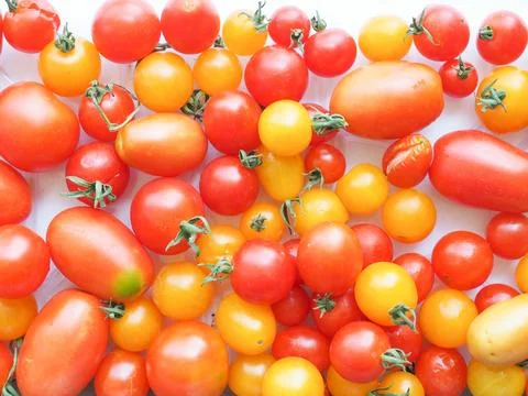 Tomato vegetables Stock Photos