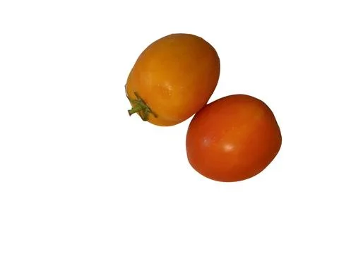 Tomato Vegetables Stock Photos