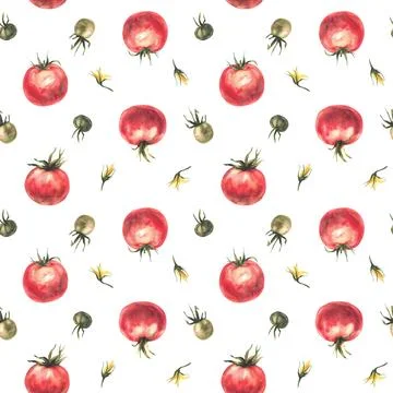 Tomato vegetables red, green fruit, yellow flowers seamless pattern. Watercolor Stock Illustration