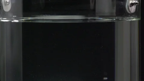 Tomato in the water black background Stock Footage 101557666