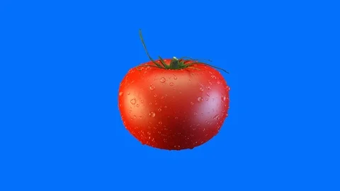 Tomato in water drops on blue background 3D render Stock Footage 85546503