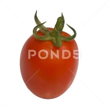 Tomato on white-2 PSD Template