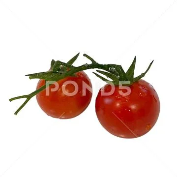 Tomato on white background 09 PSD 模板