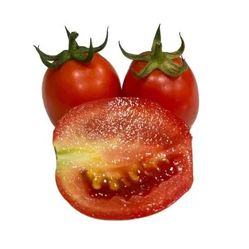 Tomato on white background-2 Fotos Stock