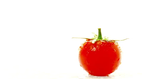 Tomato on a white background Stock Footage 47885249
