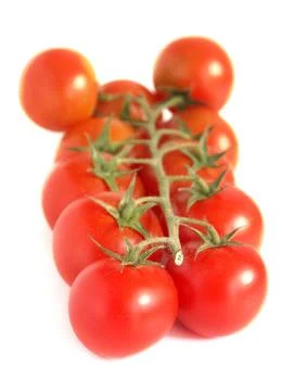 Tomato with white background. Stock Photos