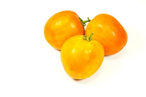 Tomato on a white background. Stock Photos