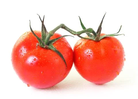 Tomato on white  background Stock Photos