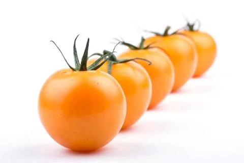 Tomato on white background Stock Photos