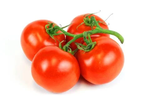 Tomato on white background Stock Photos