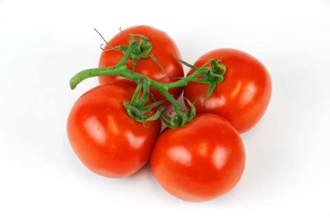 Tomato on white background Stock Photos