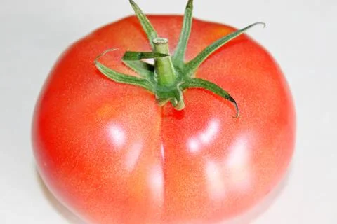 Tomato on a white background Stock Photos