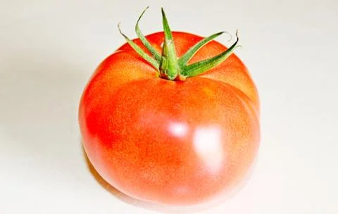 Tomato on a white background Foto stock