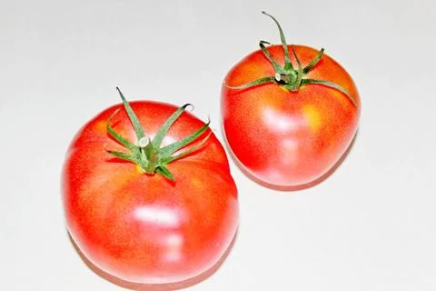 Tomato on a white background Stock Photos