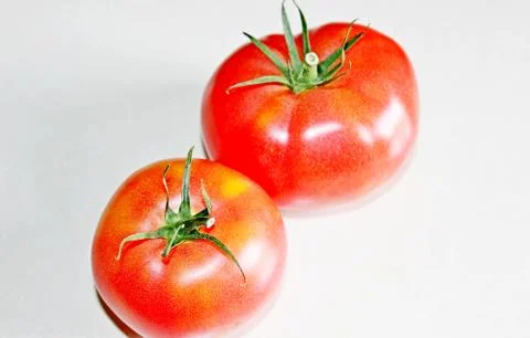 Tomato on a white background Stock Photos