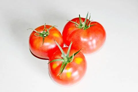 Tomato on a white background Stock Photos