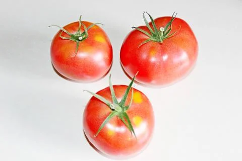 Tomato on a white background Stock Photos