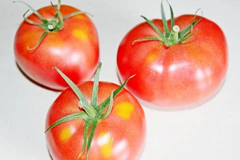 Tomato on a white background Foto stock